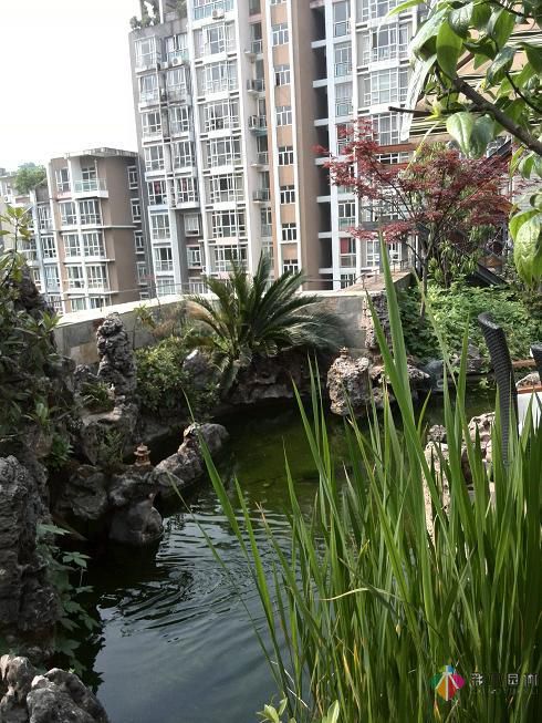農(nóng)村小別墅私家花園設(shè)計——好景致！