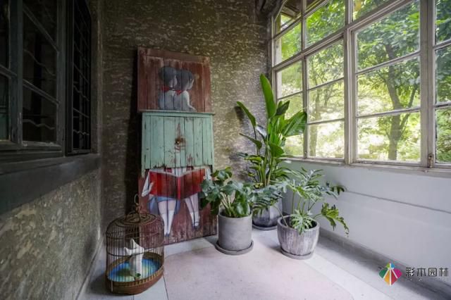 私家花園植物如何配置方法及家庭養花技巧?