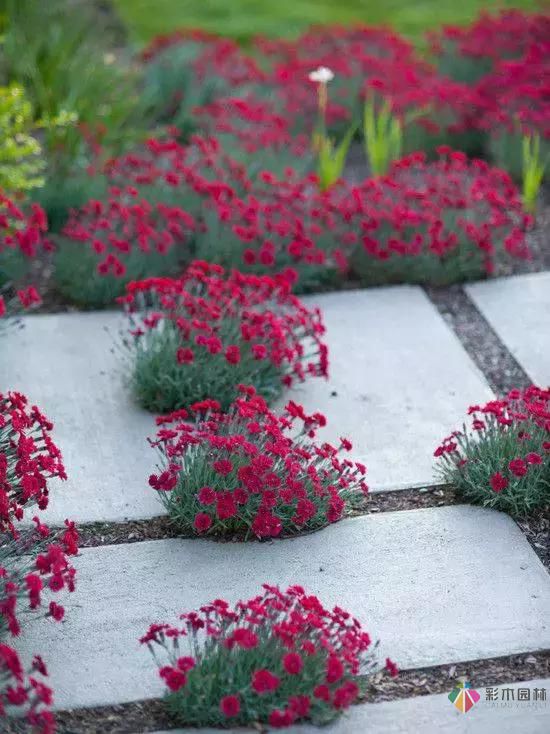 花園設(shè)計(jì)改造，手把手教你打造最美花園