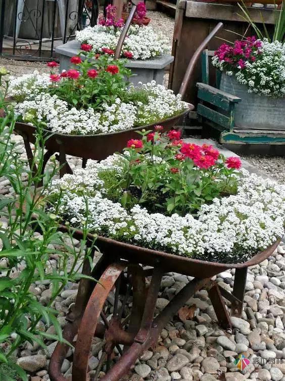 花園設(shè)計(jì)改造，手把手教你打造最美花園