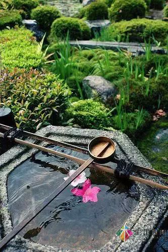 花園設(shè)計(jì)改造，手把手教你打造最美花園