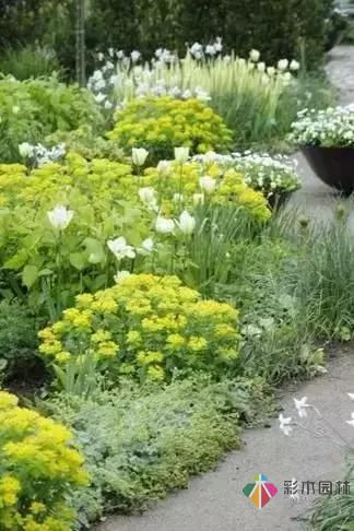 花園設(shè)計(jì)改造，手把手教你打造最美花園