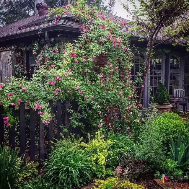 別讓花園空著,彩木園林給您打造一個花園式庭院