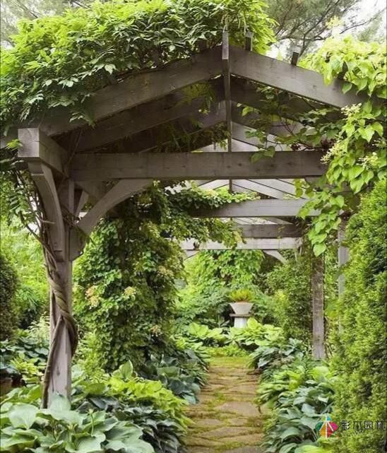 別讓花園空著,彩木園林給您打造一個花園式庭院