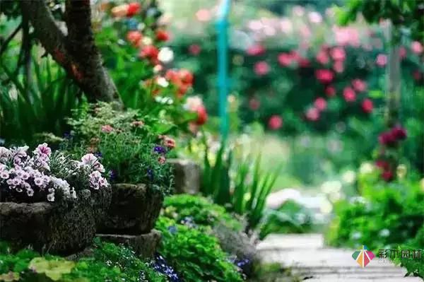 這樣子的庭院花園施工維護,花鏡美的不要不要的!