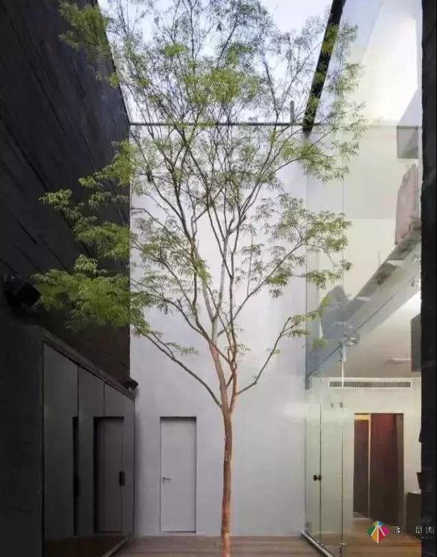 讓人心動的庭院設計,可不可以不要這么美