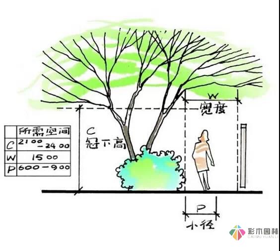 這樣的花園設計才有調性!