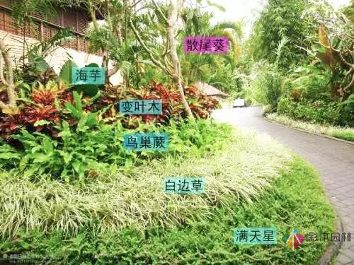 今后居住區景觀設計的發展趨勢如何?