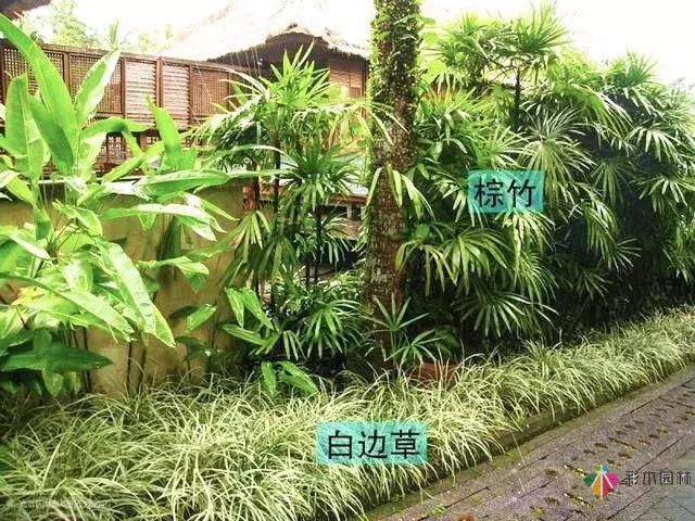 今后居住區景觀設計的發展趨勢如何?