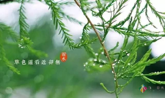 17種園林綠化種植技術(shù)及處理辦法，值得珍藏！