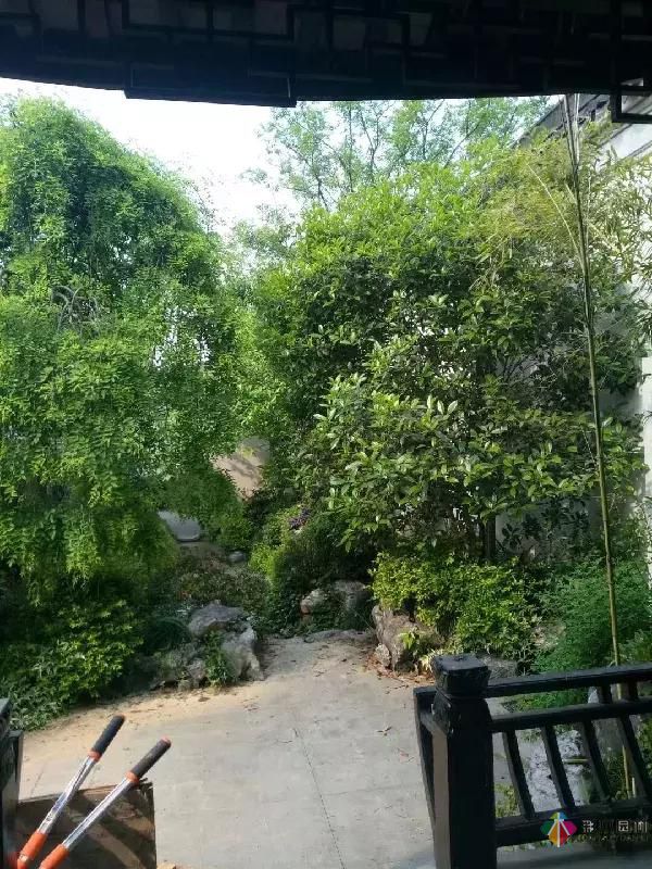 私家庭院設(shè)計維護(hù)以細(xì)成就品質(zhì)