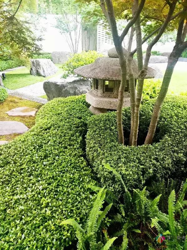 私家庭院設(shè)計維護(hù)以細(xì)成就品質(zhì)