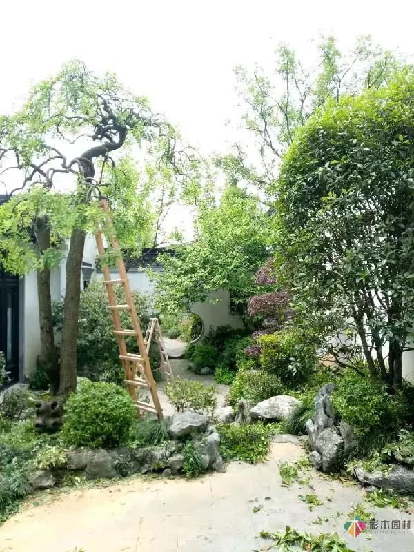 私家庭院設(shè)計維護(hù)以細(xì)成就品質(zhì)