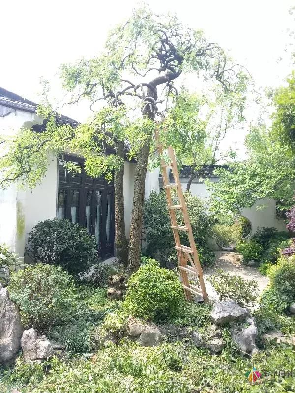 私家庭院設(shè)計維護(hù)以細(xì)成就品質(zhì)