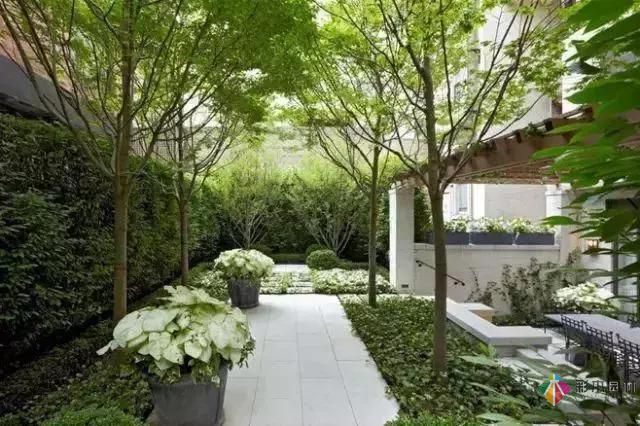 把握花園設計要素,建造實用私家花園