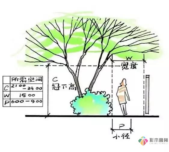把握花園設計要素,建造實用私家花園