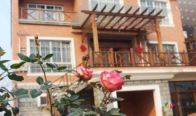 農村自建房自己設計,彩木園林打造花園別墅,完美庭院