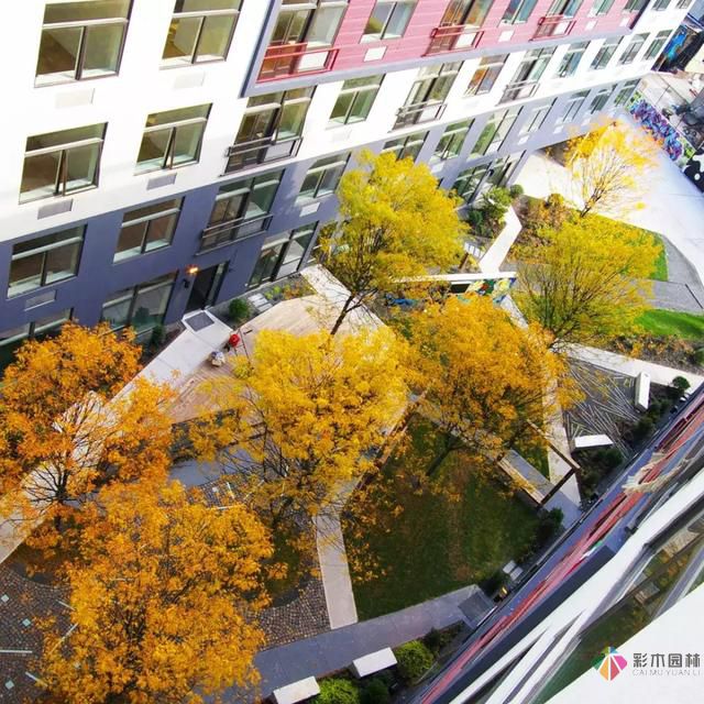 如何在狹小的空間內進行景觀設計?