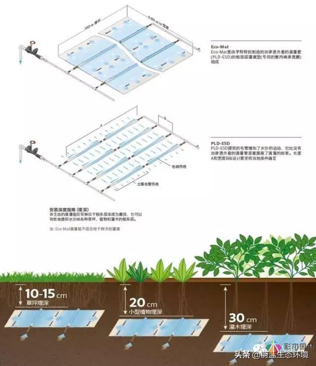 屋頂花園設(shè)計(jì)規(guī)范及植物配置！值得珍藏