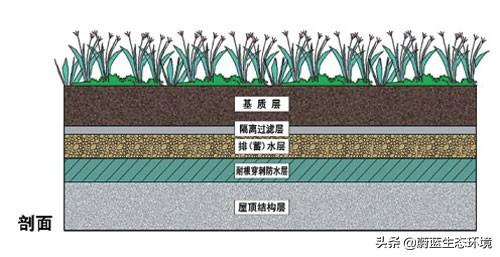 屋頂花園設(shè)計(jì)規(guī)范及植物配置！值得珍藏