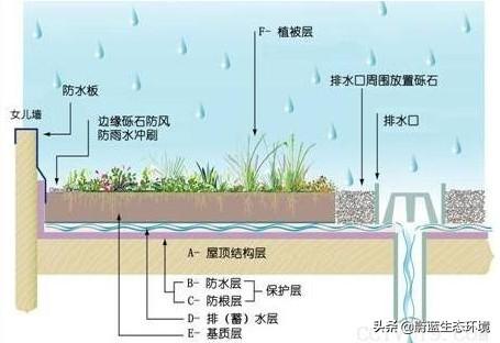 屋頂花園設(shè)計(jì)規(guī)范及植物配置！值得珍藏