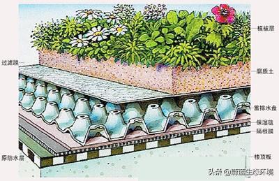 屋頂花園設(shè)計(jì)規(guī)范及植物配置！值得珍藏