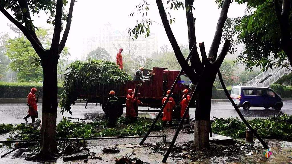 夏季雨季園林景觀工程施工要注意哪幾點?