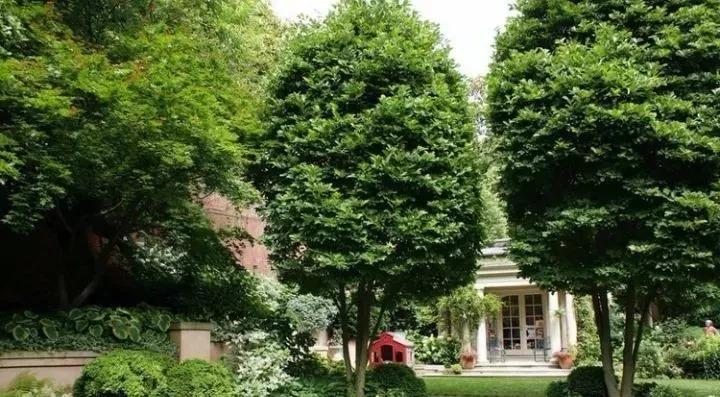 從植物到鋪裝新古典主義風格庭院設計顯得十分浪漫