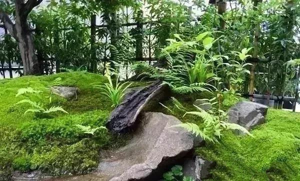 花園設(shè)計,苔造園也是一道美景!