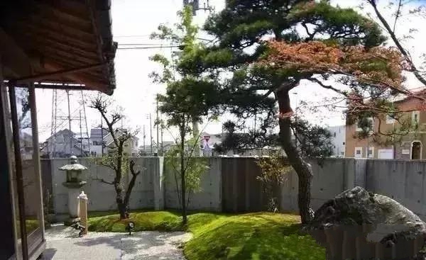 花園設(shè)計,苔造園也是一道美景!