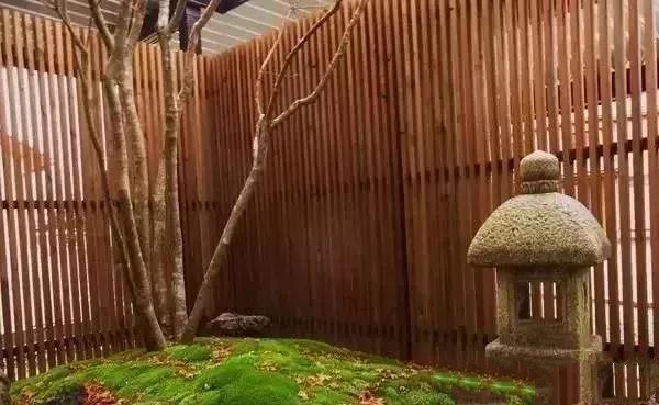 花園設(shè)計,苔造園也是一道美景!