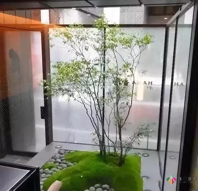 花園設(shè)計,苔造園也是一道美景!
