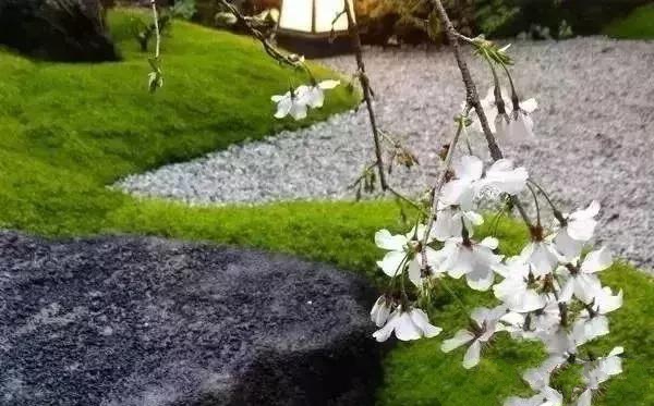 花園設(shè)計,苔造園也是一道美景!