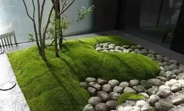 花園設(shè)計,苔造園也是一道美景!