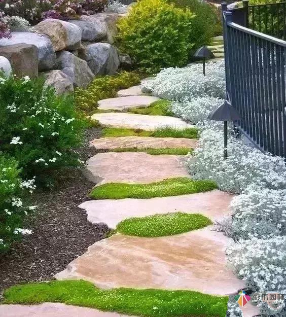 花園設(shè)計,苔造園也是一道美景!