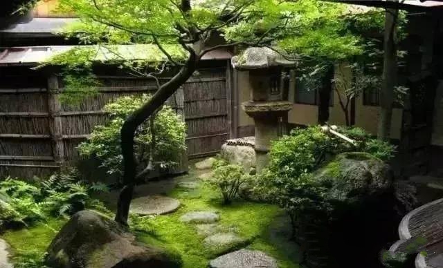 花園設(shè)計,苔造園也是一道美景!