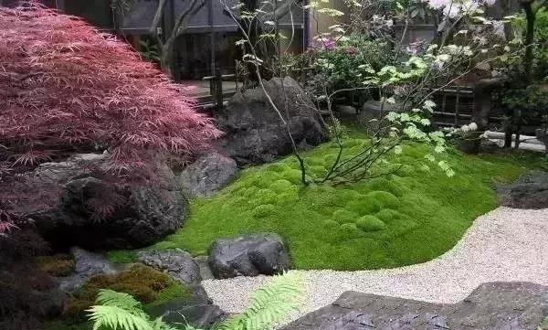 花園設(shè)計,苔造園也是一道美景!