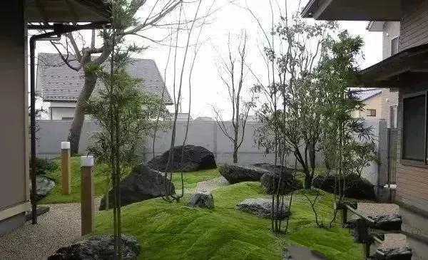 花園設(shè)計,苔造園也是一道美景!