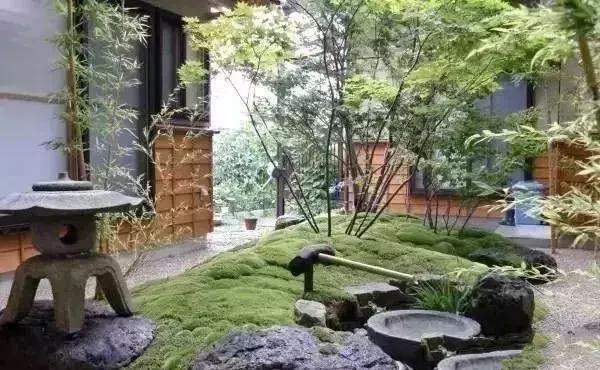 花園設(shè)計,苔造園也是一道美景!