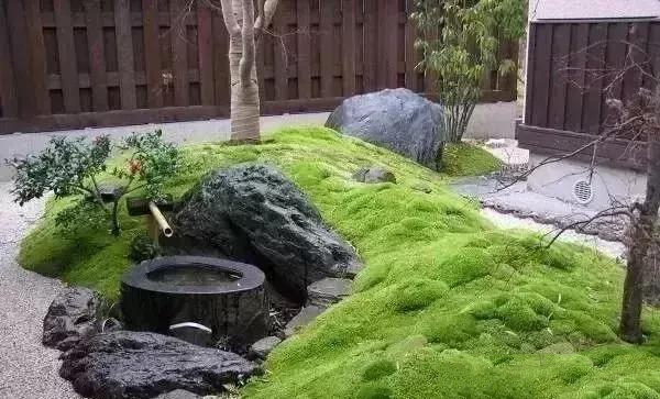 花園設(shè)計,苔造園也是一道美景!