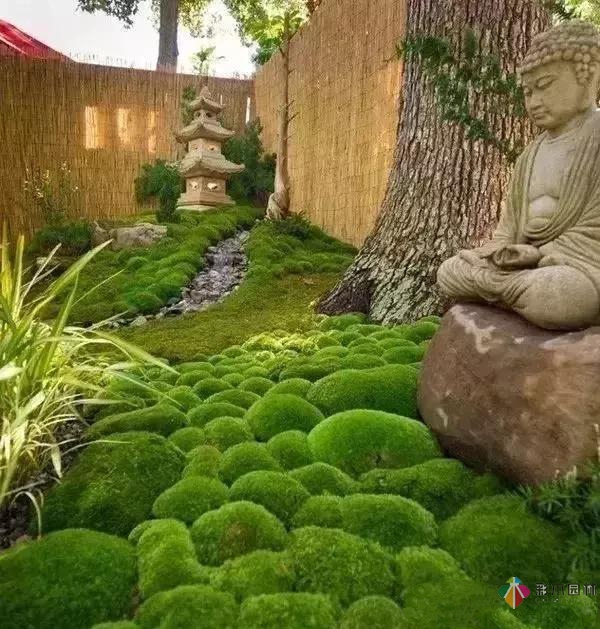 花園設(shè)計,苔造園也是一道美景!