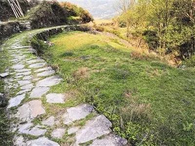 庭院設計中植物和小路怎么搭配才最好看？