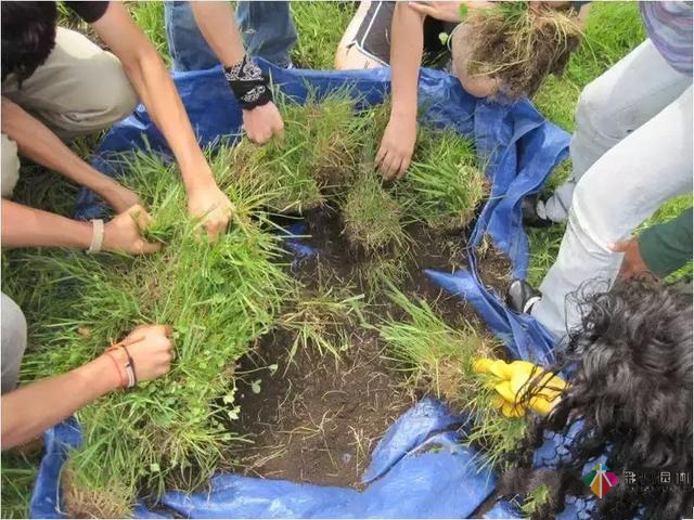 庭園設計|質樸的自然田園風,民宿庭園設計的要素
