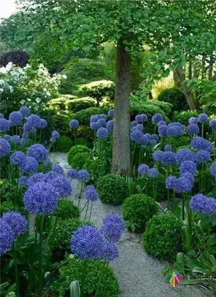 花園庭院設計中植物該怎么設計?
