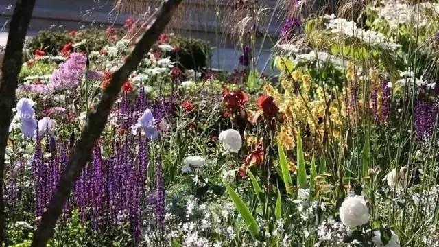 花園庭院設計中植物該怎么設計?