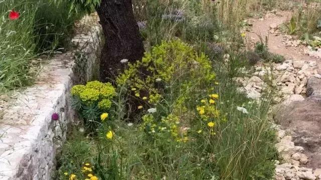 花園庭院設計中植物該怎么設計?