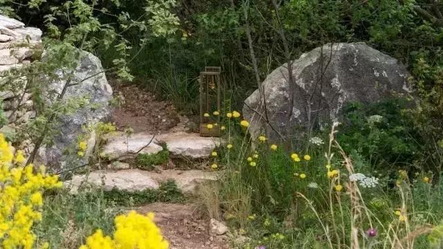 花園庭院設計中植物該怎么設計?
