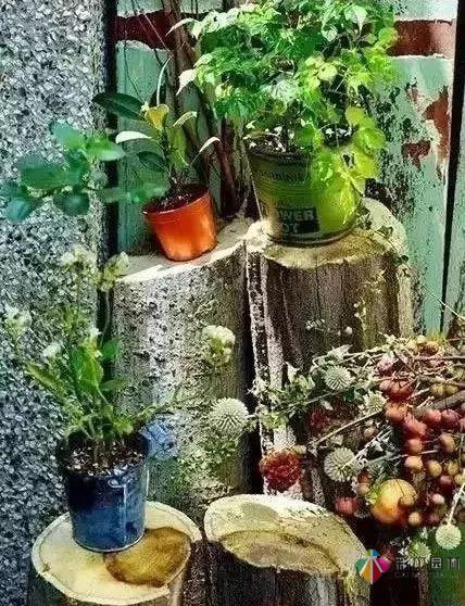 百搭的私家花園設(shè)計風(fēng)格總結(jié)經(jīng)驗營造您的小花園