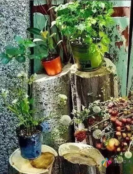 百搭的私家花園設(shè)計風(fēng)格總結(jié)經(jīng)驗營造您的小花園