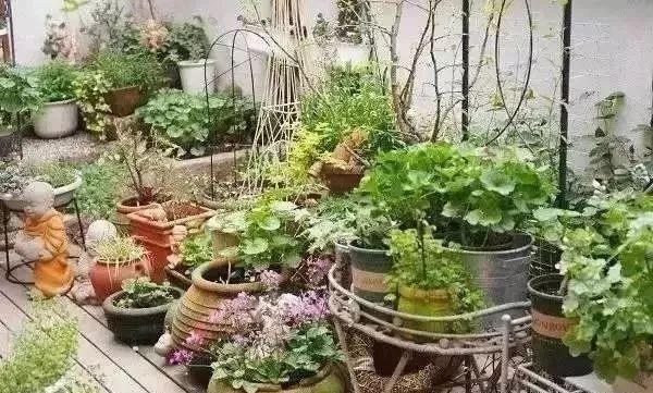 百搭的私家花園設(shè)計風(fēng)格總結(jié)經(jīng)驗營造您的小花園